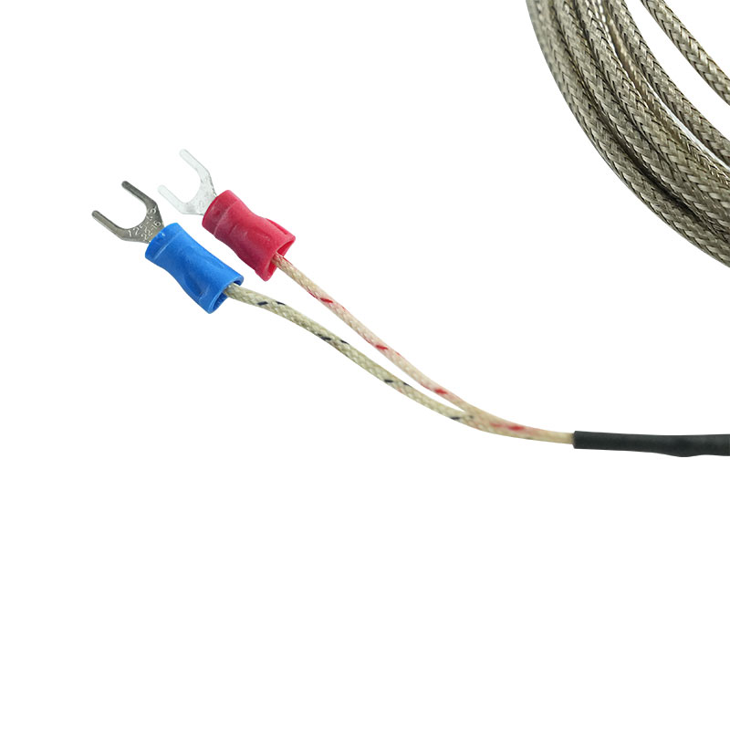 Dome thermocouple