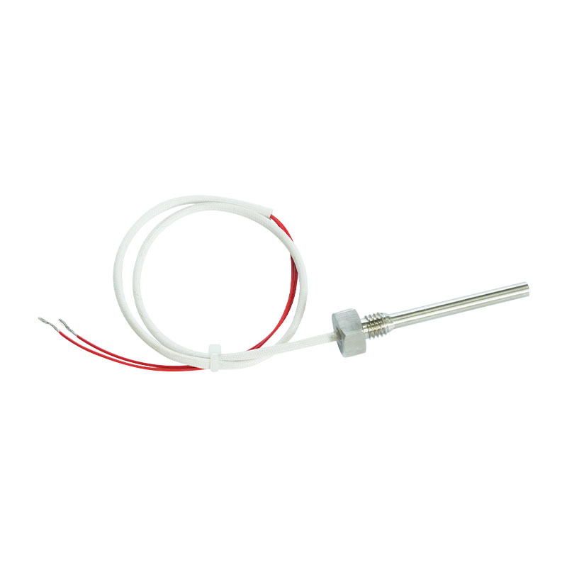 Thermocouple parvum genus