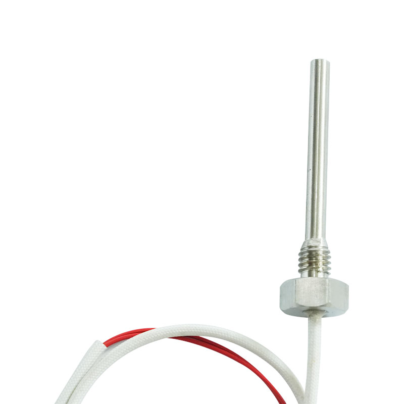 Thermocouple parvum genus