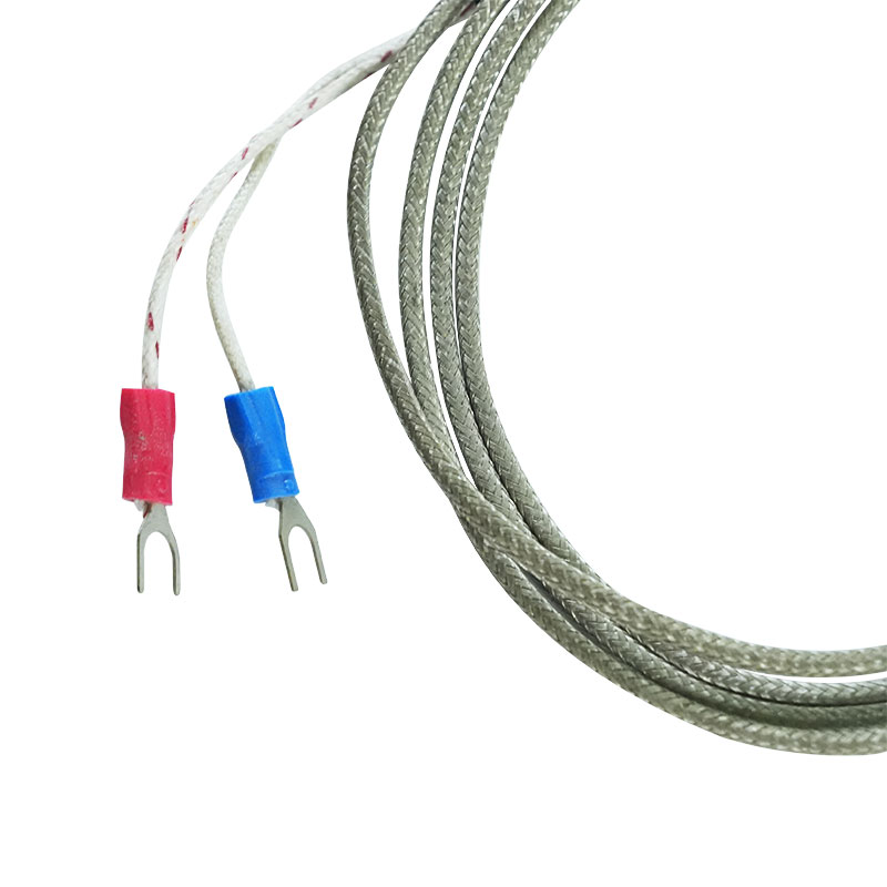 Thermocouple parvum genus