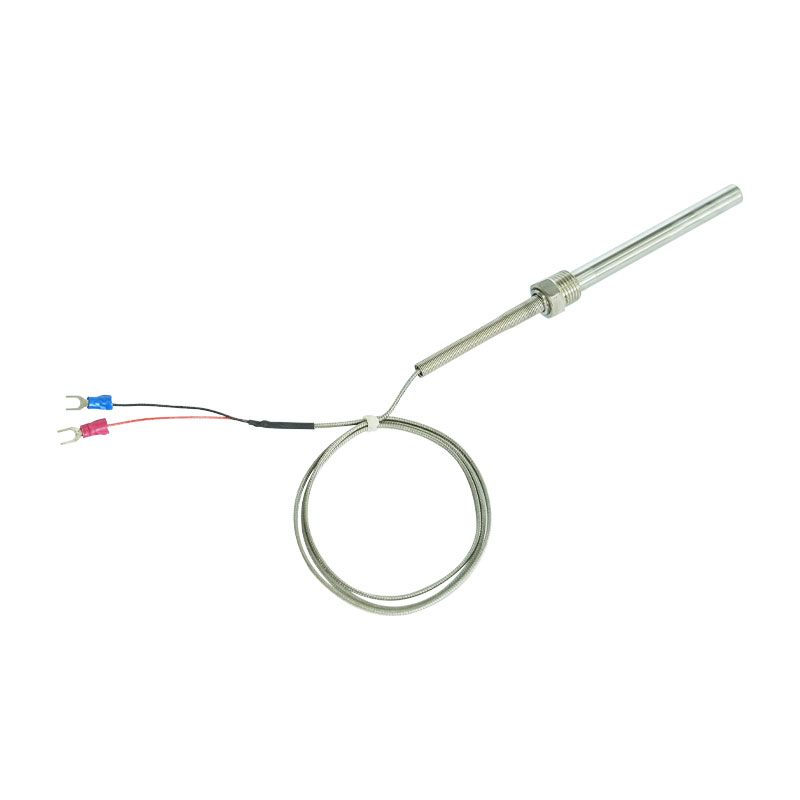 Thermocouple parvum genus