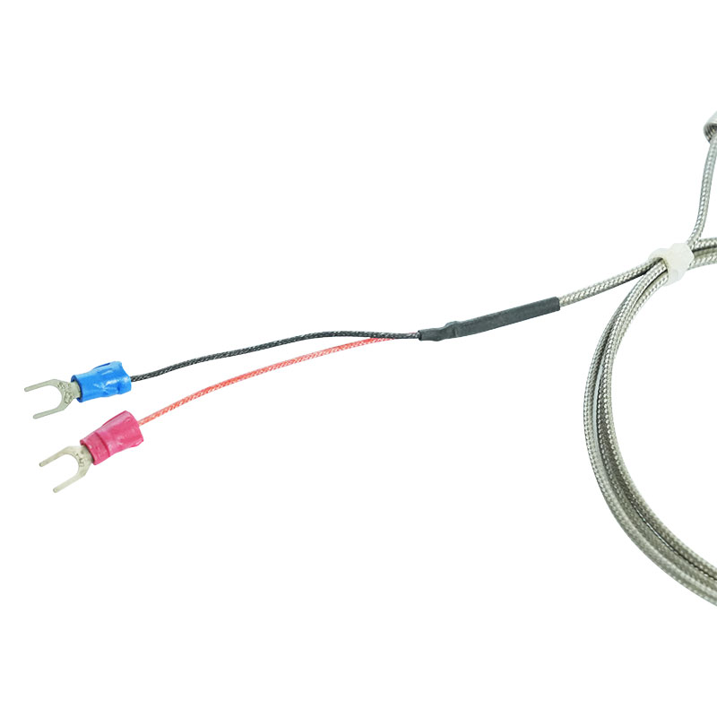 Thermocouple parvum genus