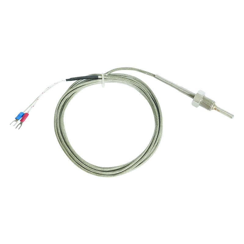 Thermocouple parvum genus