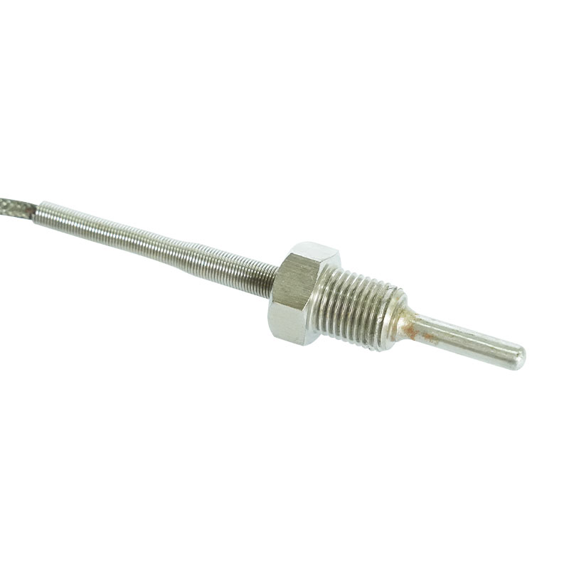 Thermocouple parvum genus