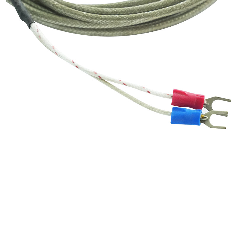 Thermocouple parvum genus