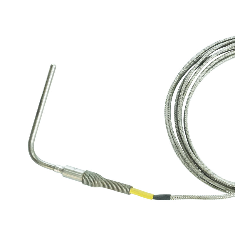 Thermocouple parvum genus
