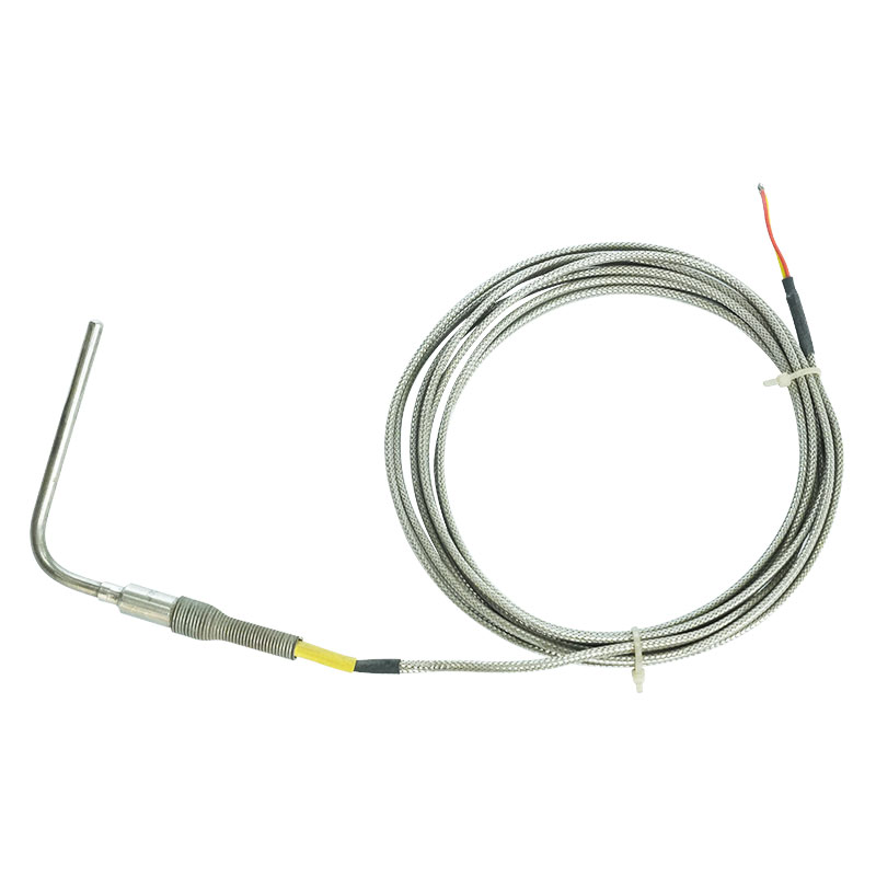 Thermocouple parvum genus