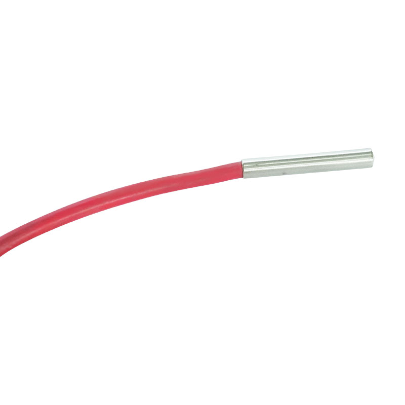 Princeps tortor mollis thermocouple