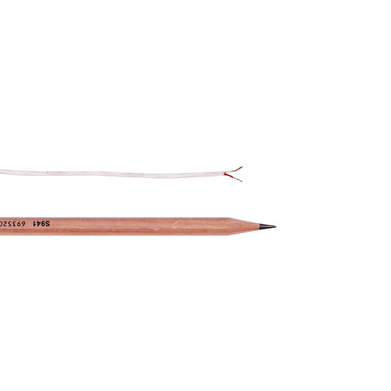 Pvc Ptfe Multi-core Anti Corrosion Thermocouple Extension Wire