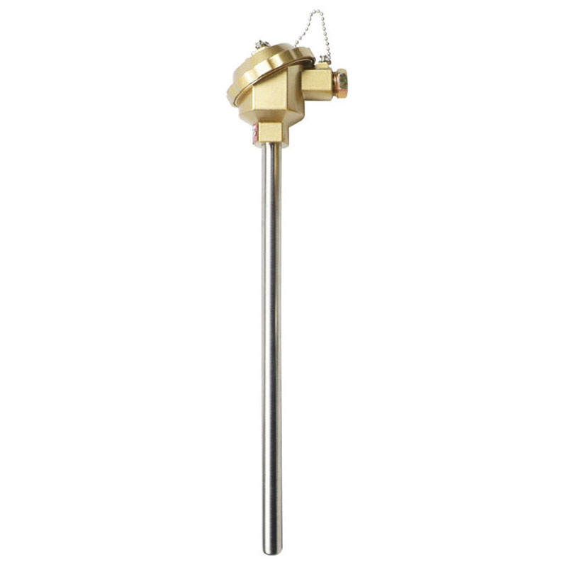 Insulata, IMPERVIUS, gerunt repugnans thermocouple immaculata ferro materia 1800°C K-type thermocouple PT100 RTD-type thermocouple specillum