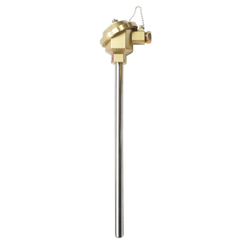 Insulata, IMPERVIUS, gerunt repugnans thermocouple immaculata ferro materia 1800°C K-type thermocouple PT100 RTD-type thermocouple specillum