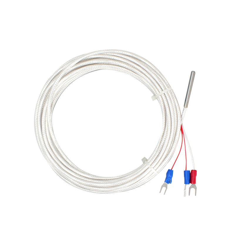 WZP-035 PT100 Probe 5 35mm Cable 1-20m Platinum Resistentia Thermometer RTD Corrosio-Repugnans IMPERVIUS Anti-Corrosion Temperature Sensor