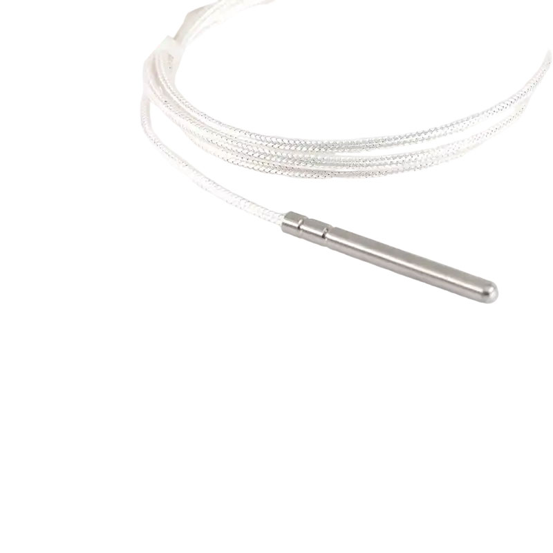 Industriae PT100 RTD temperaturae sensorem 3-filum platinum thermistoris 50mm thermocouple