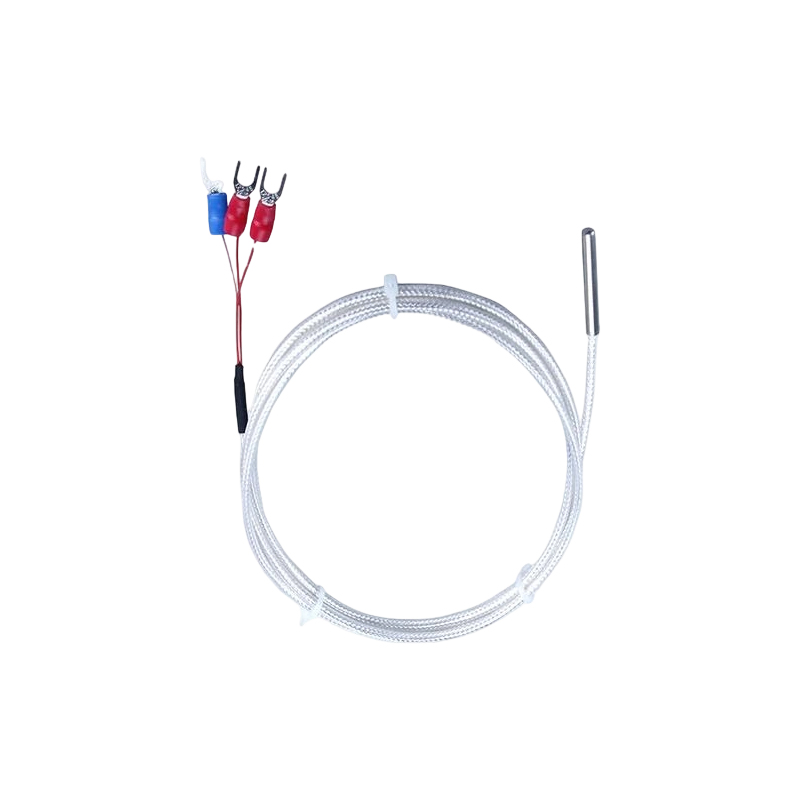 Industriae PT100 RTD temperaturae sensorem 3-filum platinum thermistoris 50mm thermocouple