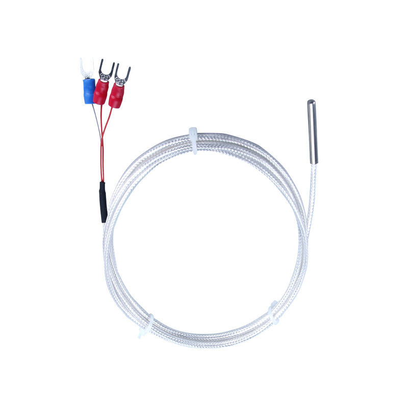 WZP-035 PT100 Probe 5 35mm Cable 1-20m Platinum Resistentia Thermometer RTD Corrosio-Repugnans IMPERVIUS Anti-Corrosion Temperature Sensor