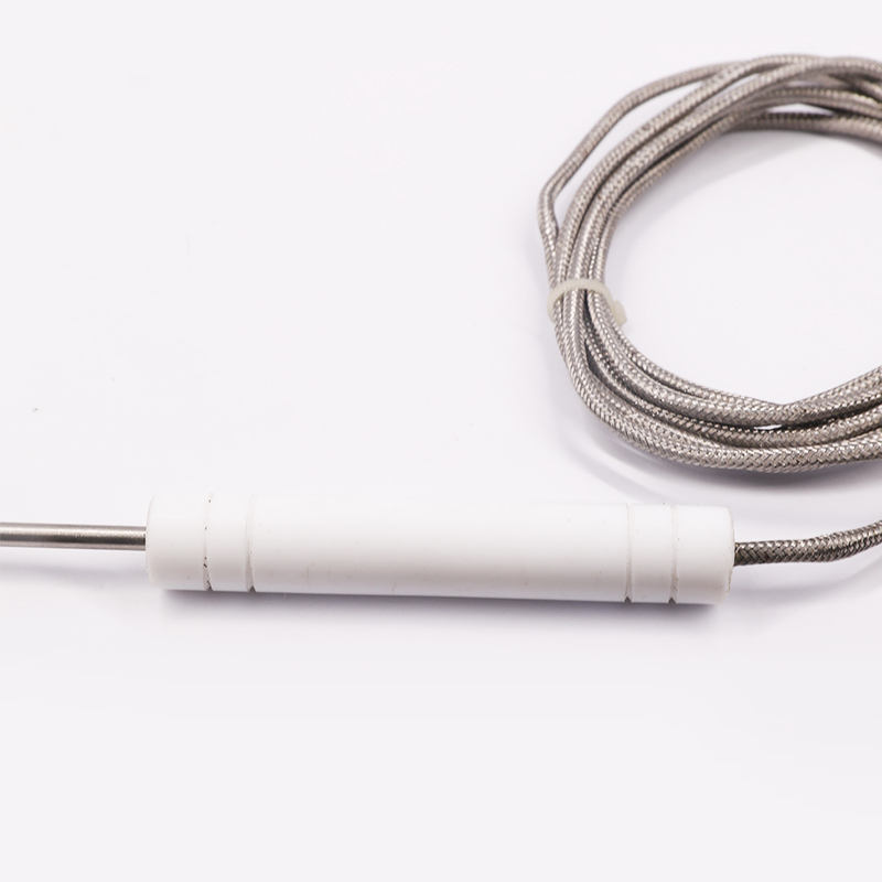 PT1000 PT100 NTC Food-Grade Probe Temperature Sensor