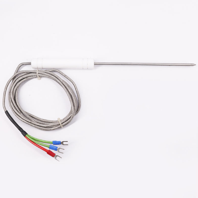 PT1000 PT100 NTC Food-Grade Probe Temperature Sensor