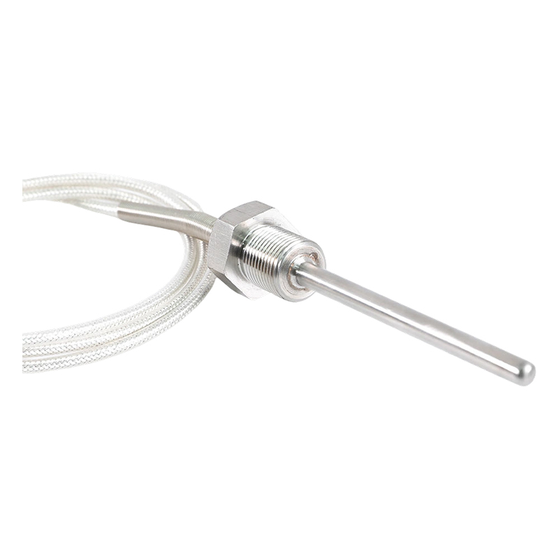 Factory Direct - 200 ~ 450°C Class A 316 Rtd Pt100 Temperature Sensor Platinum Resistentia Thermometrum Probe 1/2