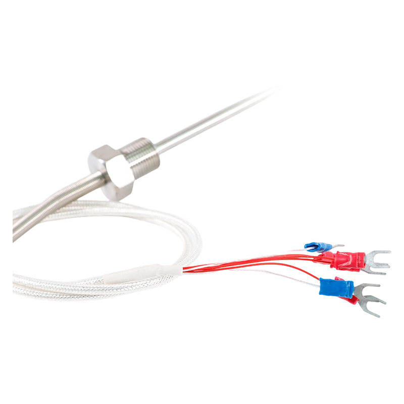 Factory Direct - 200 ~ 450°C Class A 316 Rtd Pt100 Temperature Sensor Platinum Resistentia Thermometrum Probe 1/2