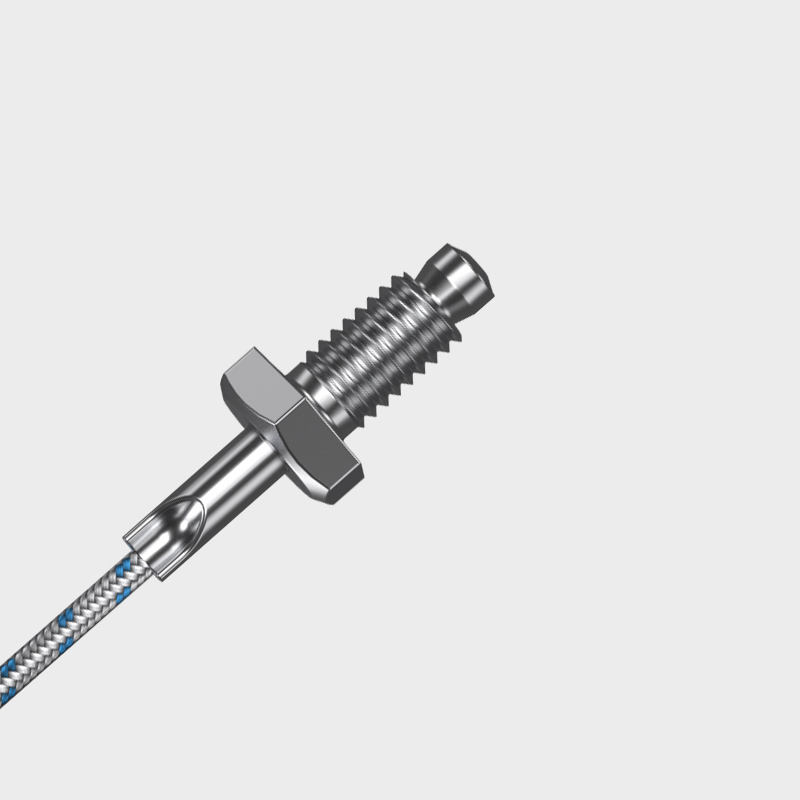 Sensorem compactum industriae-gradus cum ferro immaculato cochlea adscendens PT100K specillum (M6/M8) Thermocouple