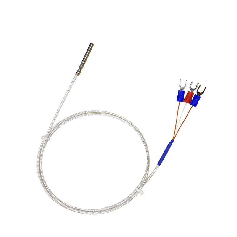 WZP-035 PT100 Probe 5 35mm Cable 1-20m Platinum Resistentia Thermometer RTD Corrosio-Repugnans IMPERVIUS Anti-Corrosion Temperature Sensor