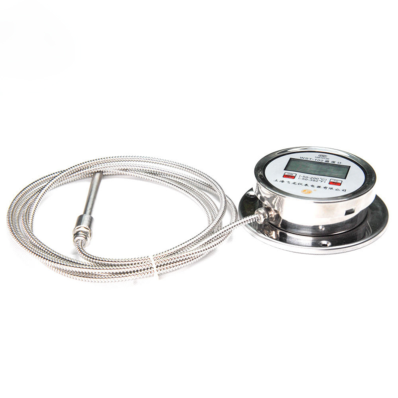 High-Precision Digital Display Thermometer Radial K-Type Pt100 Thermometrum Steel Flexible Hose Digital Thermometer